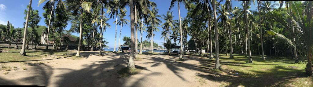 Crystal Bay Nusa Penida Bali Palm Trees