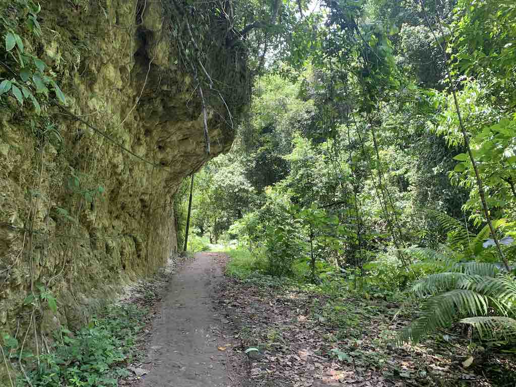 Tembeling Forest Nusa Penida Bali