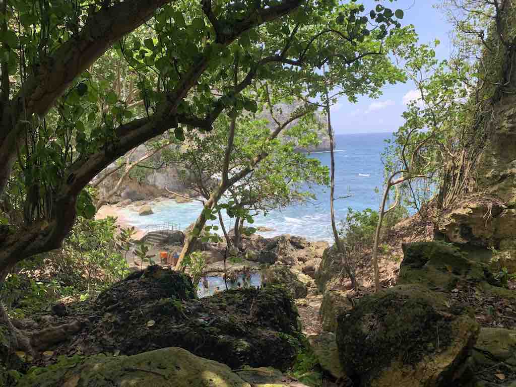Temeling Primal Forest and Beach Nusa Penida Bali