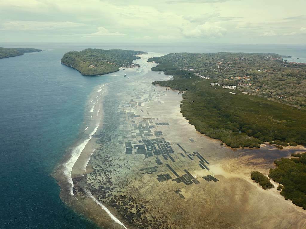 Nusa Ceningan Nusa Lembongan Seaweed farming Bali